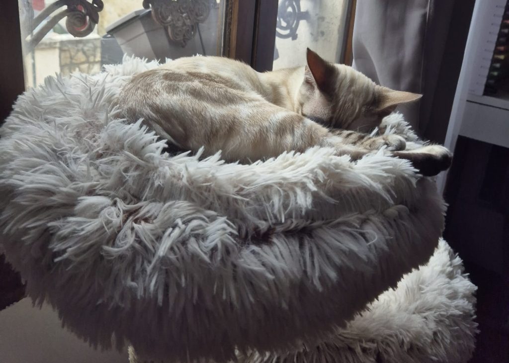 Chat Ehssan copywriter